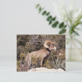 Momentane Pause Postkarte (Stehend Vorderseite)