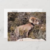 Momentane Pause Postkarte (Vorne/Hinten)