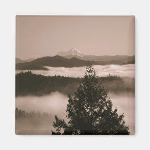 Momente im Nebel.... Magnet