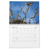 Momente in Missouri Kalender (Feb 2026)