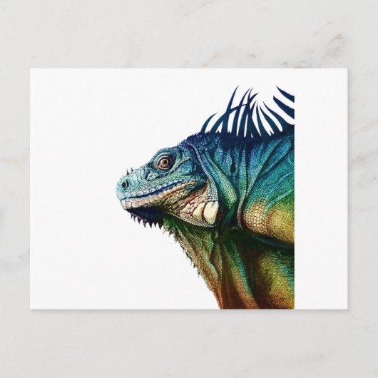 MOMENTKAMPF POSTKARTE (Vorderseite)