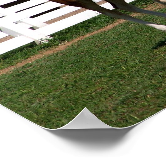 Momma-Baby Poster (Ecke)