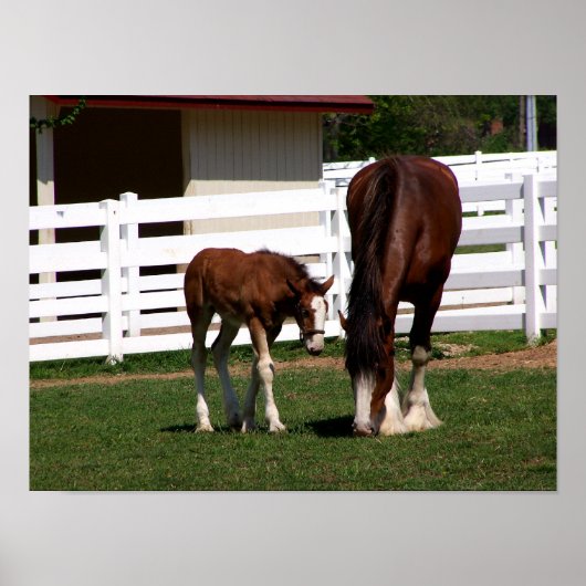 Momma-Baby Poster (Vorne)