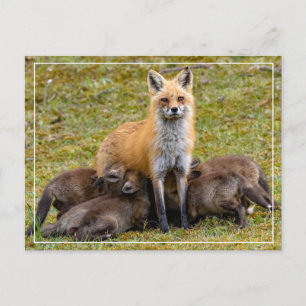 Momma be like postkarte