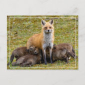 Momma be like postkarte (Vorderseite)