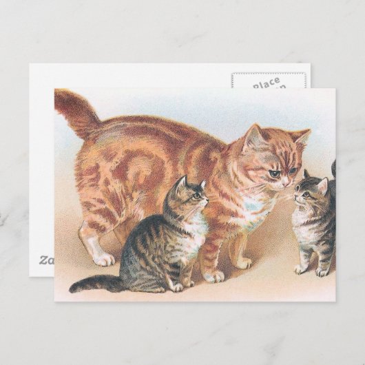 "Momma Cat" Vintag Postkarte (Vorne/Hinten)
