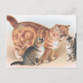 "Momma Cat" Vintag Postkarte (Vorderseite)