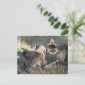 Momma cleans Baby Postkarte (Stehend Vorderseite)