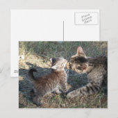 Momma cleans Baby Postkarte (Vorne/Hinten)