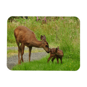 Momma Deer und ihr neugeborener Vater Magnet