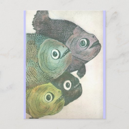 Momma-Dont-Tanz Postkarte (Vorderseite)