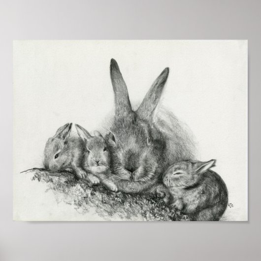 Momma Kaninchen mit Bunnies Pencil Zeichnend Poster (Vorne)