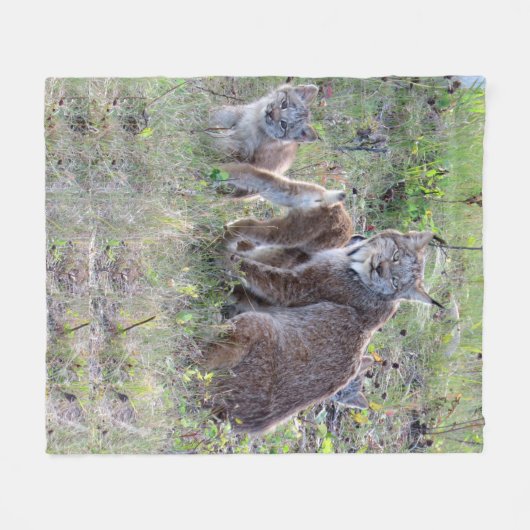 Momma Luchs und Babys Fleecedecke (Vorderseite (Horizontal))