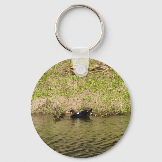 Momma Muscovy and Baby Ducks Schlüsselanhänger (Vorderseite)