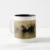 Momma und Baby Ducks Tasse (Vorderseite Links)