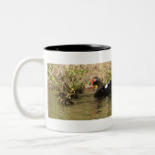 Momma und Baby Ducks Tasse (Links)