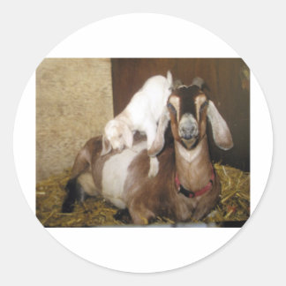 Momma und Baby Goat Runder Aufkleber