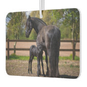 Momma und Baby Horse Autolufterfrischer (Links)