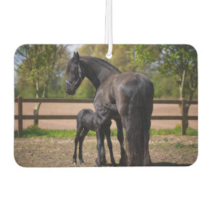 Momma und Baby Horse Autolufterfrischer