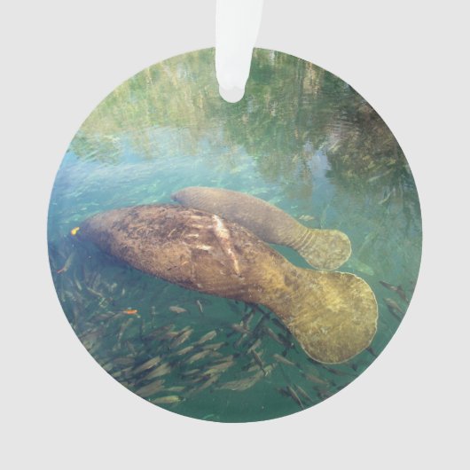 Momma und Baby Manatee - Acrylschmuck Ornament (Vorderseite)