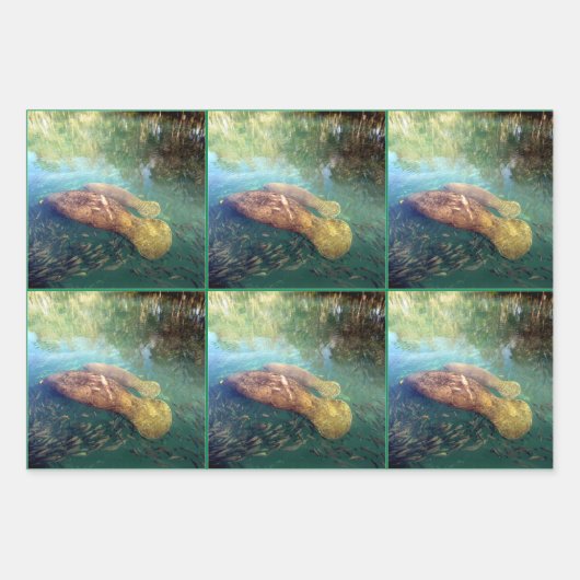 Momma und Baby Manatee - Jeden Anlaß Geschenkpapier Set (Vorderseite)
