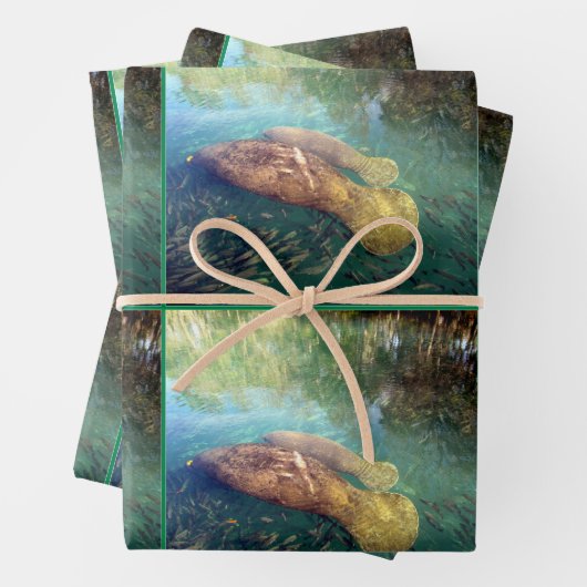 Momma und Baby Manatee - Jeden Anlaß Geschenkpapier Set (Beispiel)