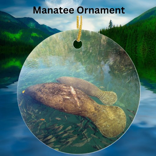 Momma und Baby Manatee Keramik/Porzellan Ornament