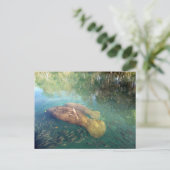 Momma und Baby Manatee Postkarte (Stehend Vorderseite)