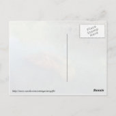 Momma und Baby Manatee Postkarte (Rückseite)