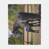 Momma und Baby-Pferd Fleecedecke (Vorderseite)