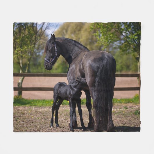 Momma und Baby-Pferd Fleecedecke (Vorderseite (Horizontal))