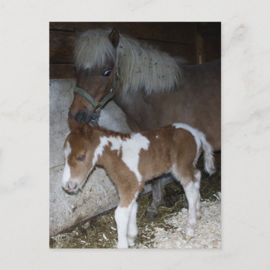 Momma und Baby Postkarte (Vorderseite)