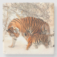 Momma und Baby Tiger