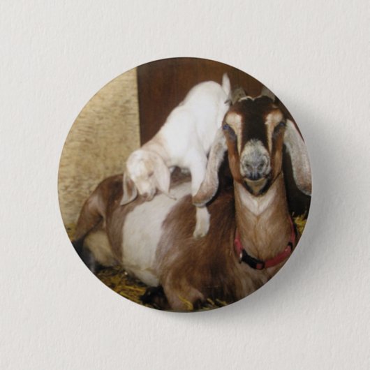 Momma und Baby-Ziege Button (Vorderseite)