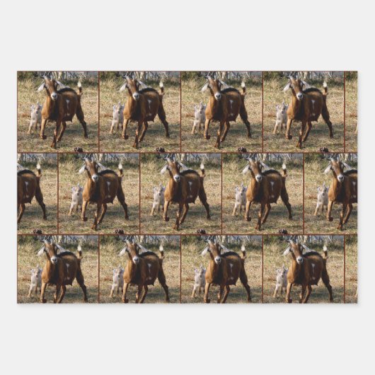 Momma und Kid Goat - kleine Drucke Geschenkpapier Set (Vorderseite 2)