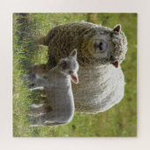 Momma's Baby Lamb - 20 x20 Puzzle (Horizontal)