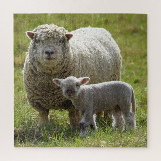 Momma's Baby Lamb - 20 x20 Puzzle (Vertikal)