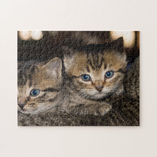 Mommas Back Jigsaw Puzzle (Horizontal)