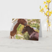 Mommy Kisses Karte (Gelbe Blume)