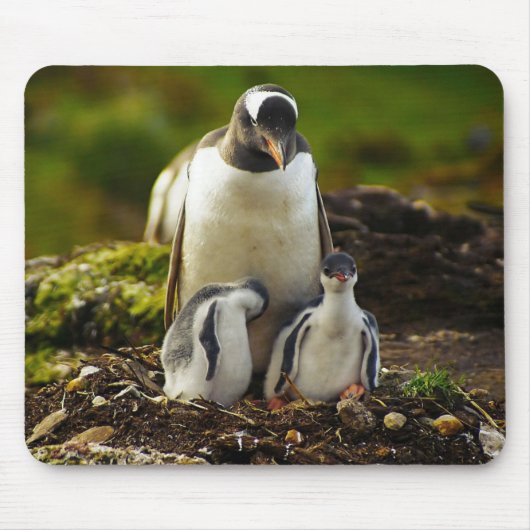 Mommy Penguin und Babys Mousepad (Vorne)
