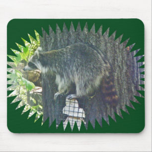 Mommy Raccoon auf Suet Mousepad