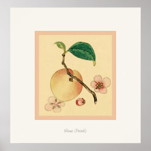 Momo (Peach) ~ Vintage japanische Kunstdruckkunst Poster