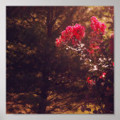 Mom's Garden Print Poster (Vorne)