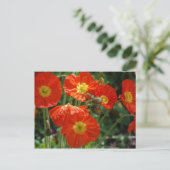 Mon Ame Postcard Postkarte (Stehend Vorderseite)