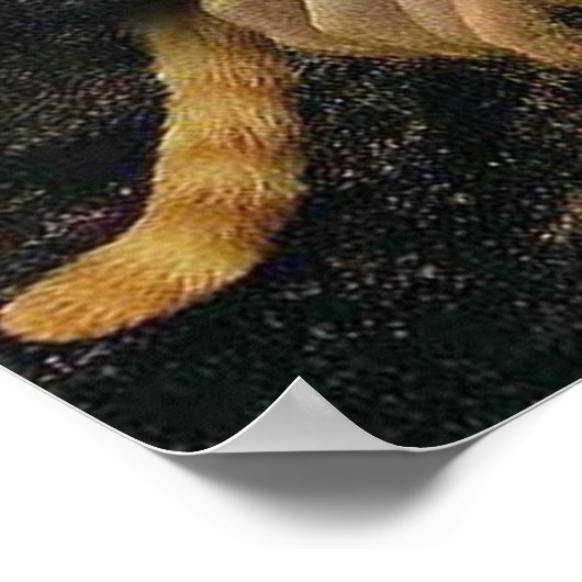 Mona Lisa hält ihre Katze Leonardo da Vinci Poster (Ecke)