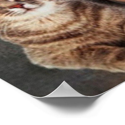 Mona Lisa und ihre Katze Poster (Ecke)