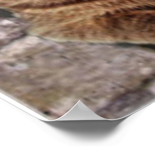 Mona Lisa und ihre Katze Poster (Ecke)