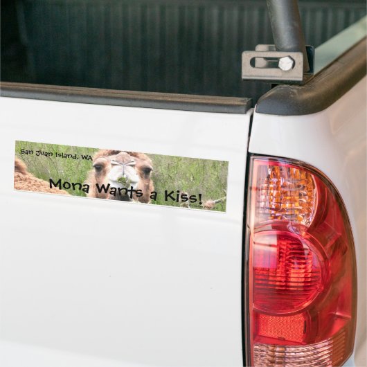 Mona will einen Kuss! Autoaufkleber (Auf Lkw)