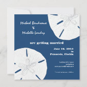 Monaco Blue Sand Dollar Save the Date (Rückseite)