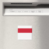 Monaco-Flagge Magnet (In Situ (Geschirrspüler))